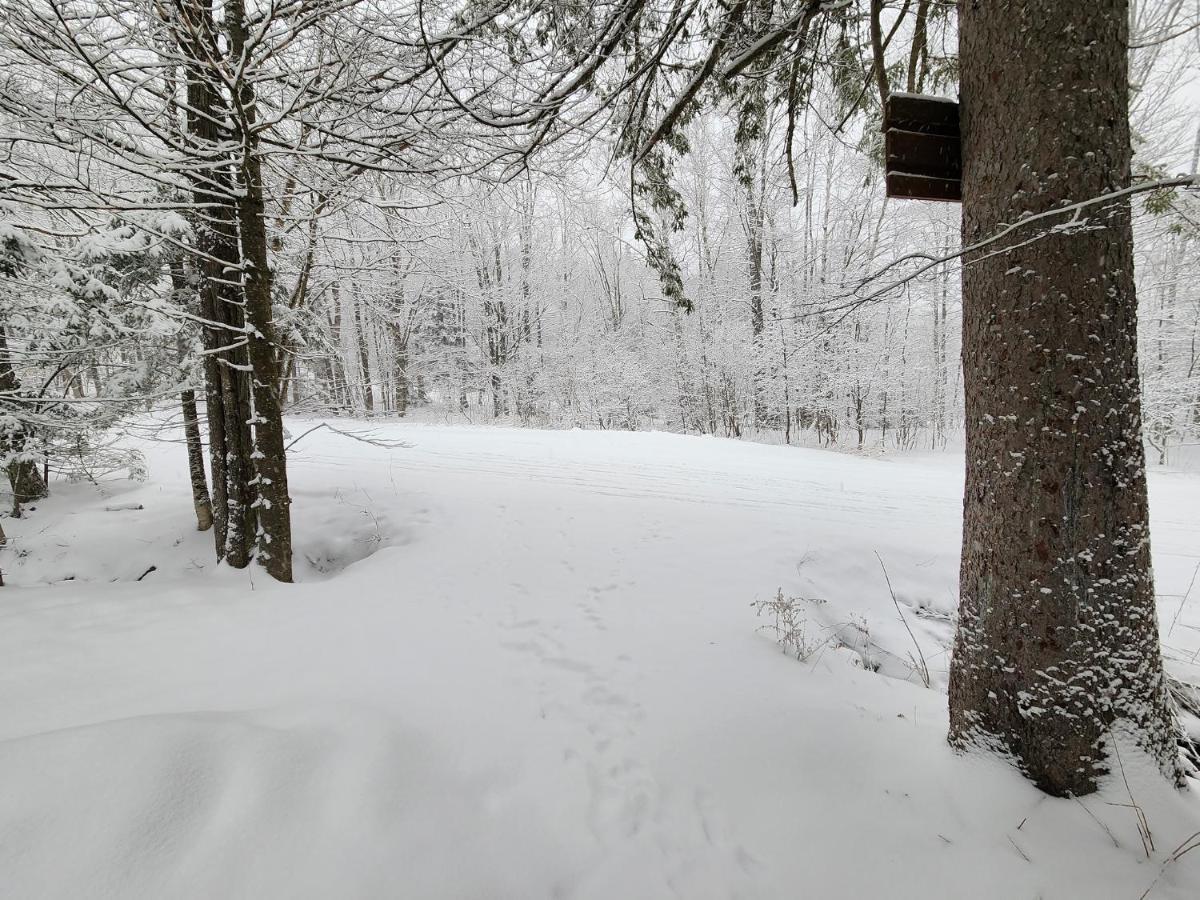 Ski In/Out Spruce Glen Townhomes On Great Eastern Trail Killington Exterior foto